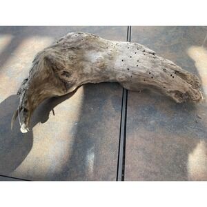 Natural Driftwood for Plants Terrarium Taxidermy Art Projects